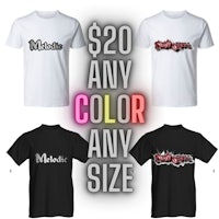 four t - shirts with the words'$20 any color any size'