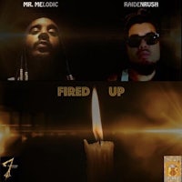 dr melodic - fired up